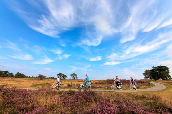 Campingplatz Emst - Nationalpark Hoge Veluwe